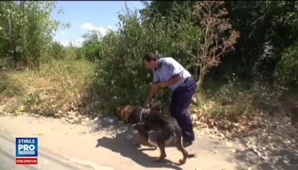 Femeie gasita injunghiata mortal, la marginea orasului Ploiesti. Aici nu intra niciun om sanatos la cap