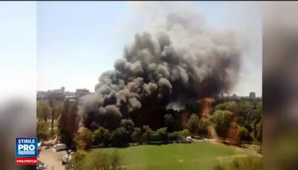 Incendiu la clubul Chaboo din Capitala. Flacari uriase au pornit langa piscina si au distrus un cort. VIDEO