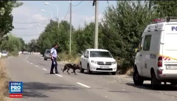 Femeie gasita injunghiata mortal, la marginea orasului Ploiesti. Ce au gasit criminalistii pe corpul victimei