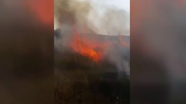 200 de hectare de teren agricol au ars in cateva minute, in Giurgiu. Ce risca fermierii care isi incendiaza campurile