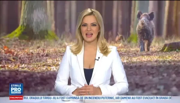 Fac prapad. Fermierii cer ca mistretii din Romania sa poata fi impuscati mai usor, pentru ca le distrug recoltele