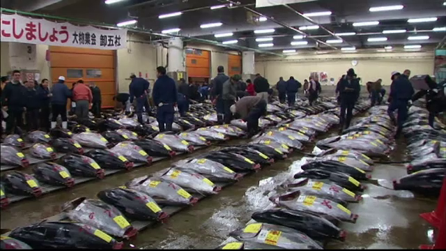 Ziua in care resursele Terrei pentru 2016 s-au terminat. O specie de peste extrem de consumata nu va mai exista in 5 ani