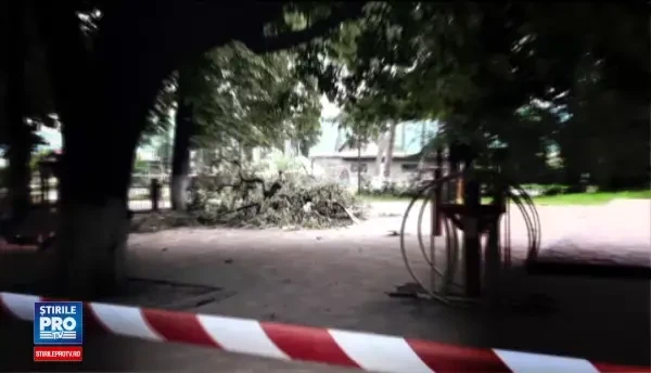 Profesoara dusa in coma la spital, dupa ce doua crengi dintr-un castan au cazut peste ea, intr-un parc din Aiud