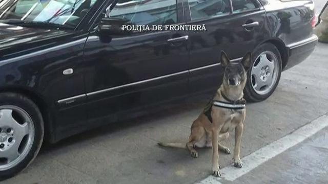 Descoperirea facuta de Norma intr-o masina din vama. Cei doi pasageri au fost arestati
