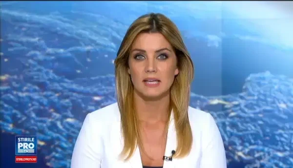 Doi sarbi au ajuns cu barca la frontiera Romaniei si au fost prinsi de vamesi. Cum au motivat trecerea granitei