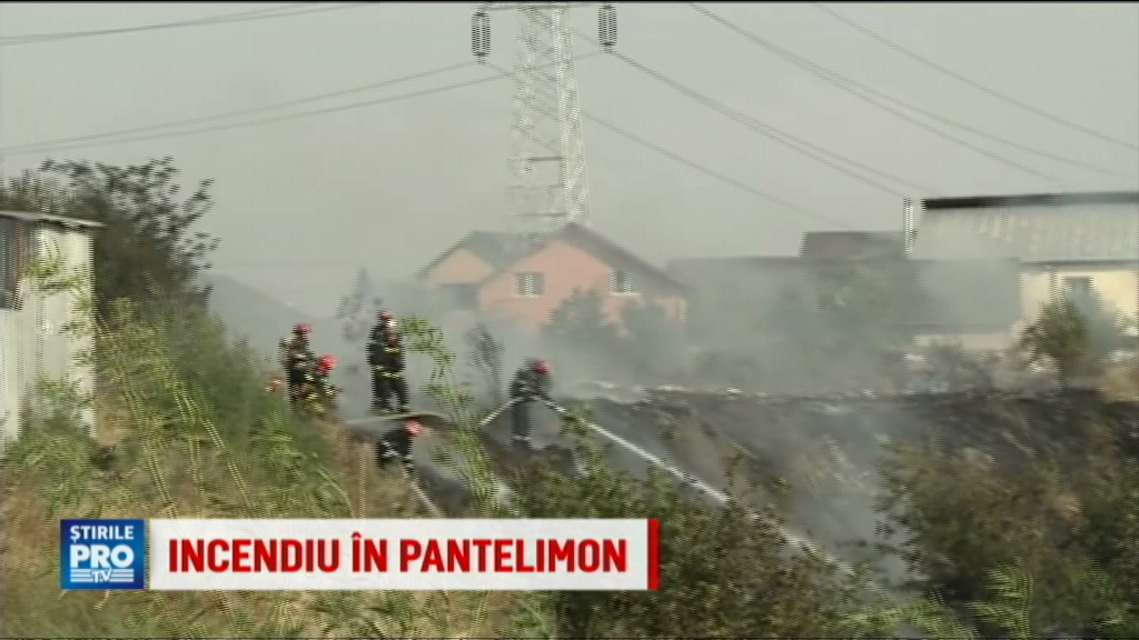 Un incendiu de vegetatie din judetul Ilfov a mistuit o casa. Sapte autospeciale de pompieri se lupta cu flacarile