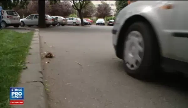 Scandal in Timisoara, cu lovituri si amenintari, chiar langa un parc plin cu copii. Gestul facut de un barbat scandalagiu