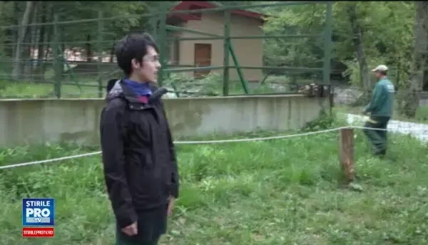 Sarbatoare la ZOO din Targu Mures. Tania si Hella, rasfatati de Ziua Internationala a Elefantilorati de Ziua Internationala a Elefantilor