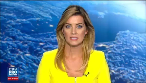 Ce au descoperit politistii de la frontiera Calafat, cand au deschis compartimentul secret al unui microbuz