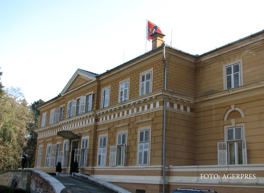 Castelul de la Savarsin