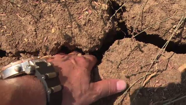 Cea mai grava seceta din ultimii 10 ani a facut paguba totala in recolta fermierilor din Romania: "S-a dus orice speranta"