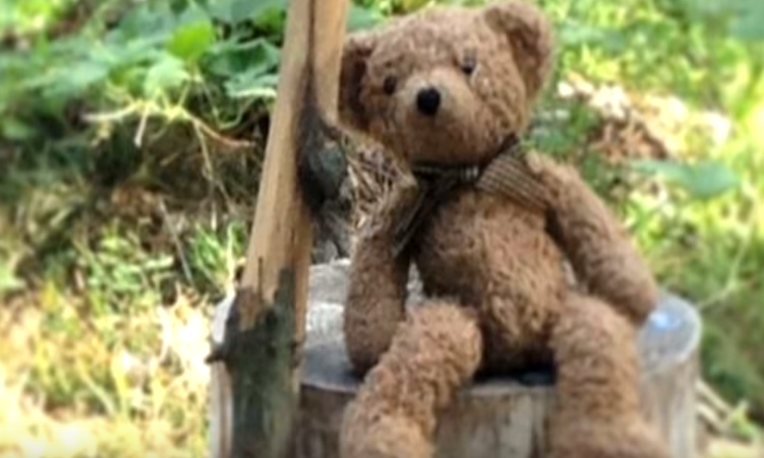 Un baietel de 7 ani isi vindea ursuletul de plus ca sa faca rost de bani de mancare. De cat timp era infometat copilul