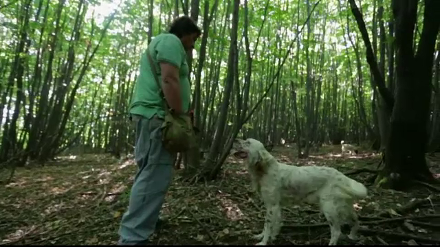 Comorile ascunse descoperite de un bulgar in padure, la o plimbare cu cainii lui. A facut din asta o afacere profitabila