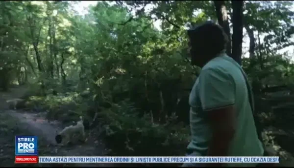 Comorile ascunse descoperite de un bulgar in padure, la o plimbare cu cainii lui. A facut din asta o afacere profitabila