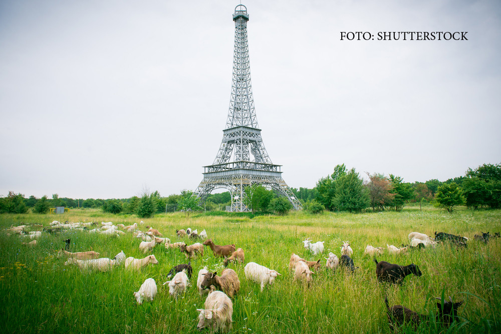 Vreme frumoasa, cu ploi izolate. Regiunile unde, incepand de joi, revin frigul si grindina