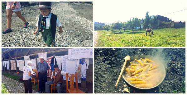 Cand basmele devin realitate. Mesendorf si ce se ascunde in gradinile sasilor!