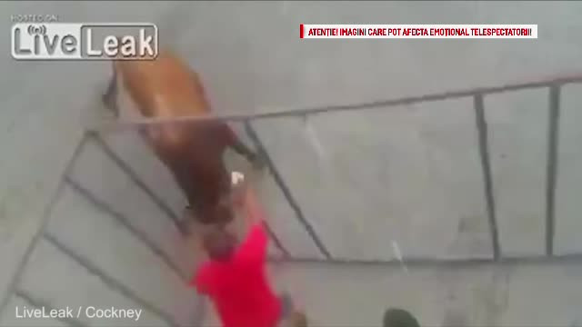 Credea ca e in siguranta in cusca si l-a provocat pe taur sa il atace. Greseala imensa facuta de un spaniol