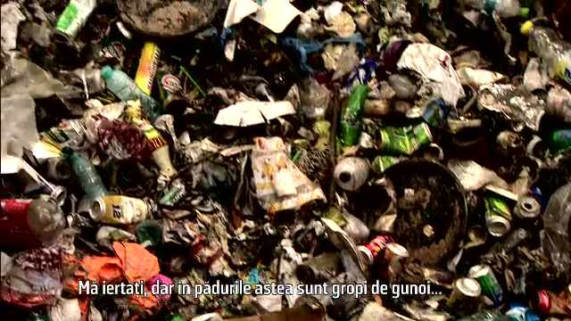 Complex Astoria Snagov - Inspectorul Vacanta