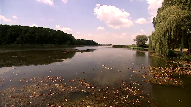 Complex Astoria Snagov - Inspectorul Vacanta