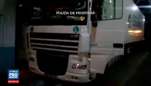 Doi sirieni, prinsi in timp ce voiau sa intre ilegal in tara pe la Bechet. Unde erau ascunsi. VIDEO