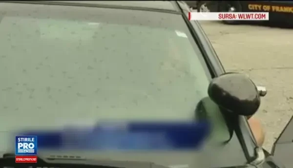 Un baietel de 7 ani isi vindea ursuletul de plus ca sa faca rost de bani de mancare. De cat timp era infometat copilul