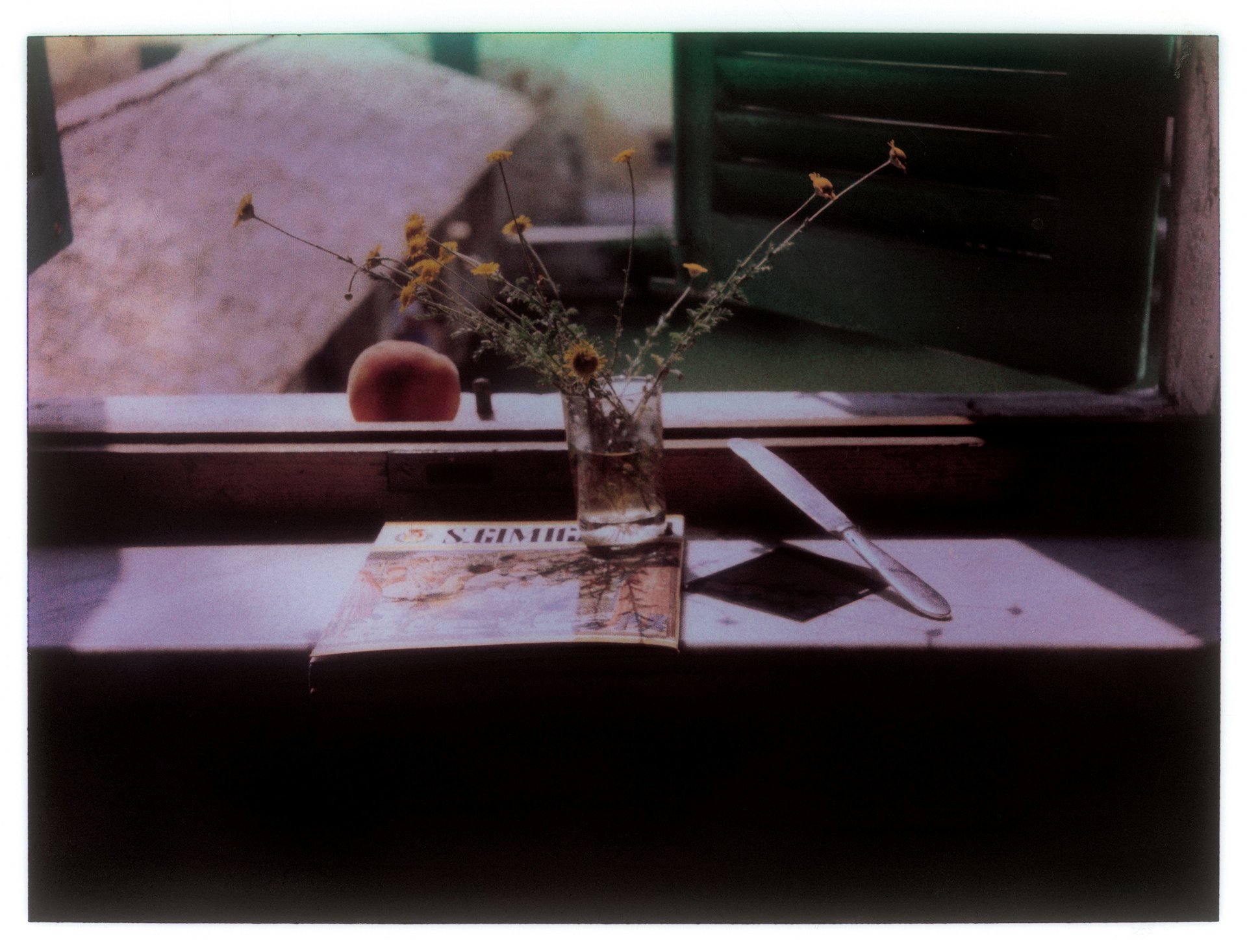 Fotografie Polaroid facuta de Andrei Tarkovski