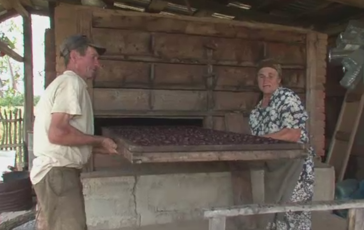 Prunele uscate de localnici in Leleasca, judetul Olt, ajung sa se vanda si in strainatate. Cat costa delicatesele