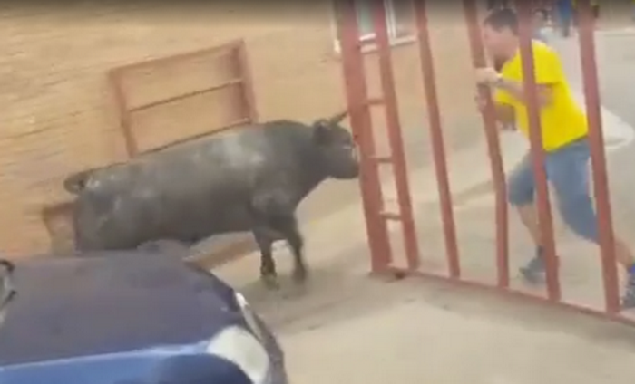 O fetita romanca de 7 ani, ranita de taur in timpul unor festivitati din Zaragoza. Imaginile surprinse cu animalul furios