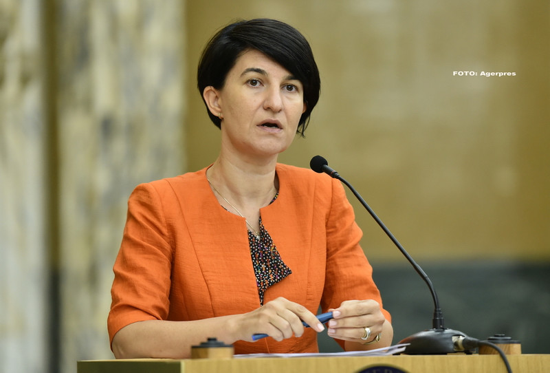 Ministrul Violeta Alexandru, atac la Tariceanu: "In tara in care imi cresc copilul, stau la coada, indiferent de functie"