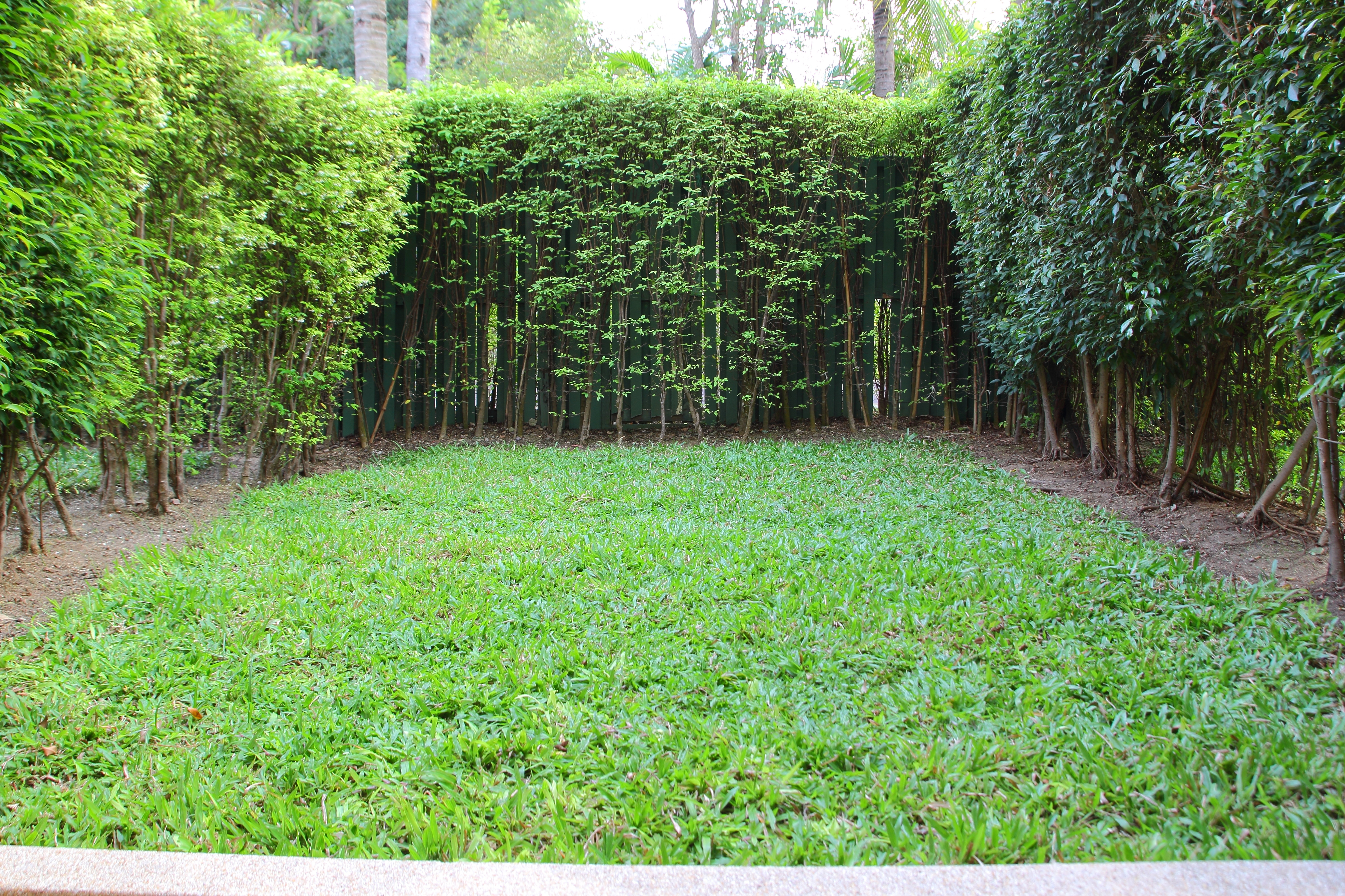 Descoperirea facuta de acest barbat, in gradina din spatele casei. Socul trait cand si-a dat seama peste ce a dat