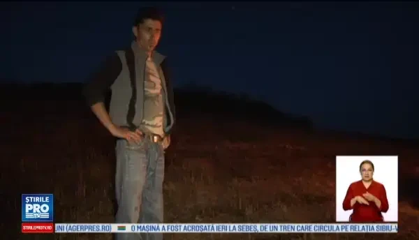 De veghe in lanul de porumb, pentru a atenua pagubele facute de mistreti. Localnic: Nu e lege sa protejeze agricultorul