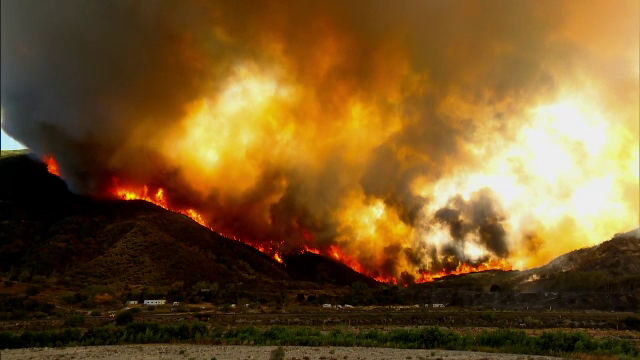Stare de urgenta in Los Angeles: 2.000 de hectare de pădure şi vegetaţie, mistuite de foc