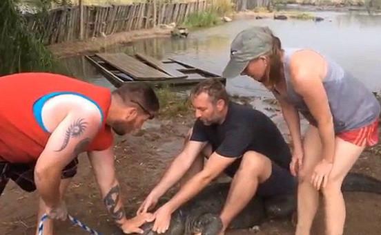 Atacul necrutator al unui aligator agitat de turisti. Momentul in care un barbat a ramas fara un deget. VIDEO
