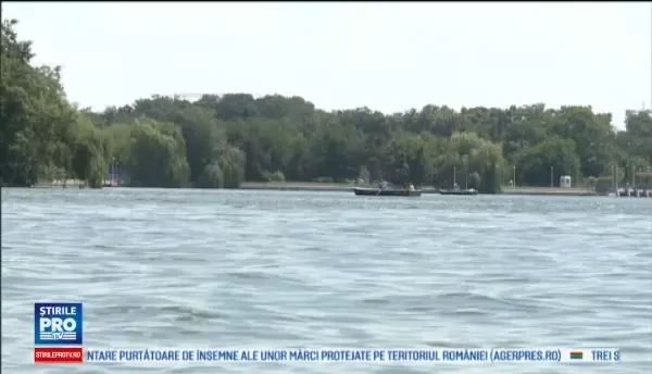 Horoscop 19 august 2016. Leii pleaca in vacanta cu prietenii, iar Scorpionii se pregatesc pentru un eveniment important