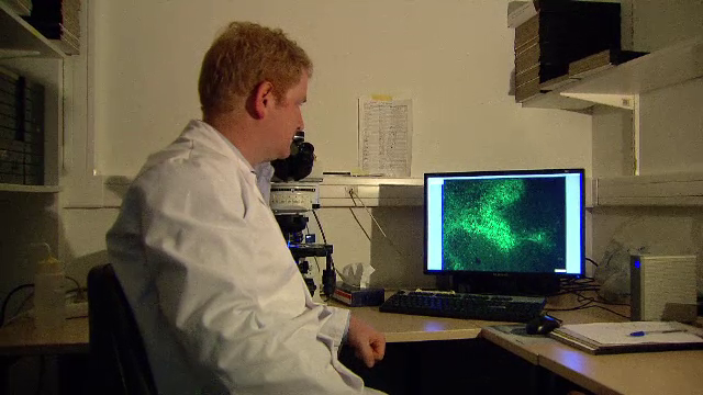 Cercetatorii din Belgia au descoperit ca oxigenul ar putea fi folositor in lupta cu cancerul