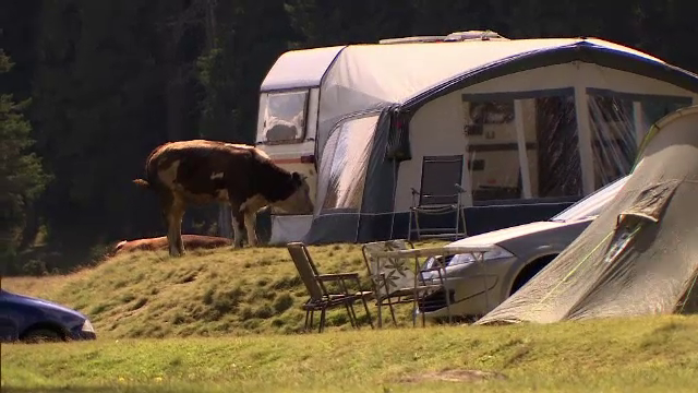 inspector vacanta Bucegi