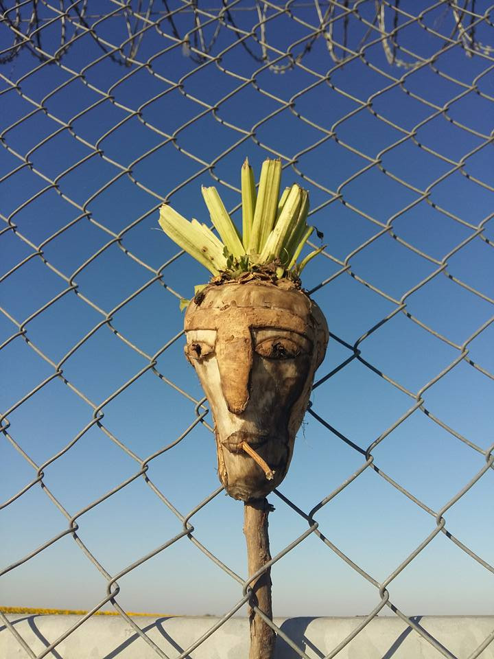 Scandal in Ungaria, dupa ce un politician a propus gonirea musulmanilor cu capete de porc. Cazul similar din Romania