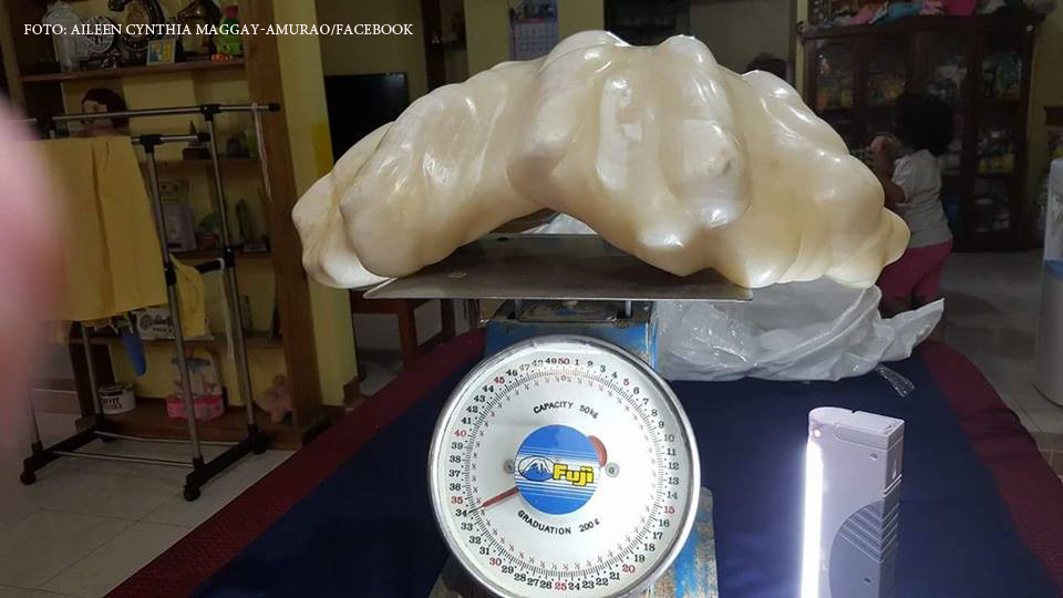 Comoara fabuloasa pe care un pescar sarac a tinut-o sub pat timp de 10 ani. A fost nevoie de un incendiu pentru a se imbogati