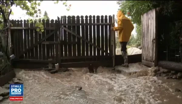 Furtunile au semanat paguba in Vrancea. Scena impresionanta cu un caine ce refuza sa plece de langa trupul fratelui inecat