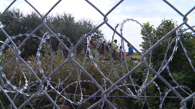 Focuri de arma la granita cu Serbia. 28 de migranti sirieni si irakieni, prinsi cand voiau sa treaca in Romania