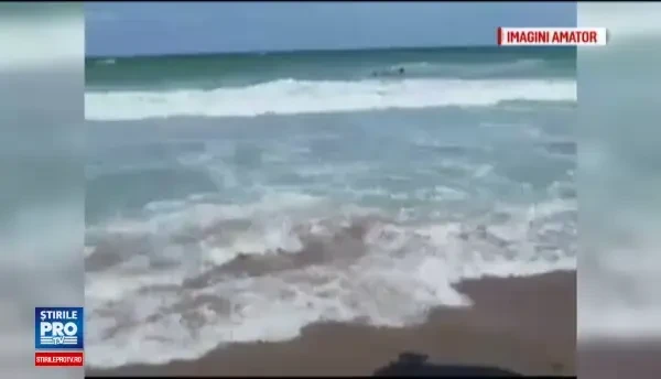 12 scafandri se lupta sa salveze un barbat luat de valuri. Zilnic salvamarii au de-a face cu turisti inconstient