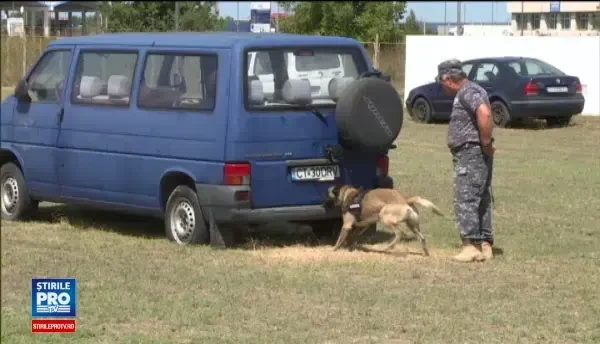 Speedy si Billy sunt primii doi caini din Romania antrenati sa gaseasca banii de contrabanda: Obligatoriu si banii au miros