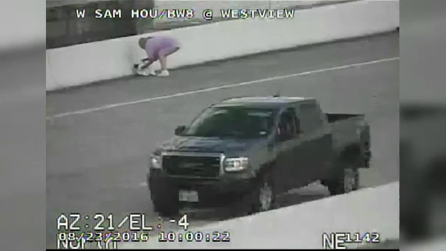 O soferita si-a pus viata in pericol ca sa salveze o pisica pe autostrada. Care a fost marele noroc al femeii