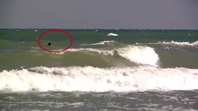 Drama pe plaja de la Saturn. Un tata a murit incercand sa-si salveze fiul de 8 ani de la inec