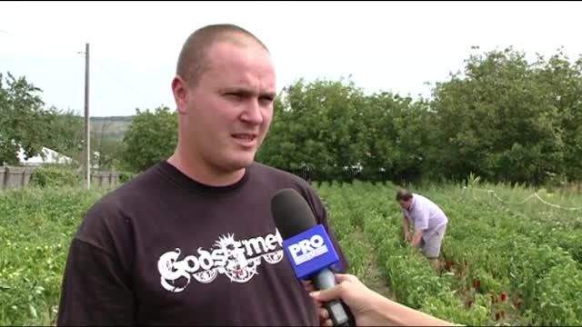 Autoservire agricultura