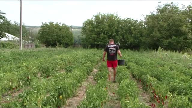 Autoservire agricultura