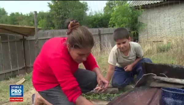 O femeie cu handicap, impreuna cu cei 4 copii ai ei, isi duc viata dupa o zi pe alta. Copiii sunt orfani de tata