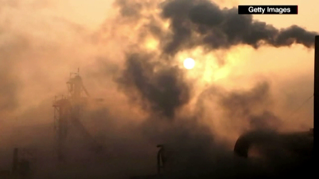 Am intrat intr-o noua era: Antropocen. De ce spun geologii ca ne indreptam spre a sasea exctinctie in masa