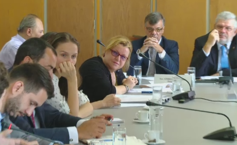 Pretul biletelor de cinema si facturile la internet ar putea creste. Ministrul Culturii vrea sa introduca taxe suplimentare