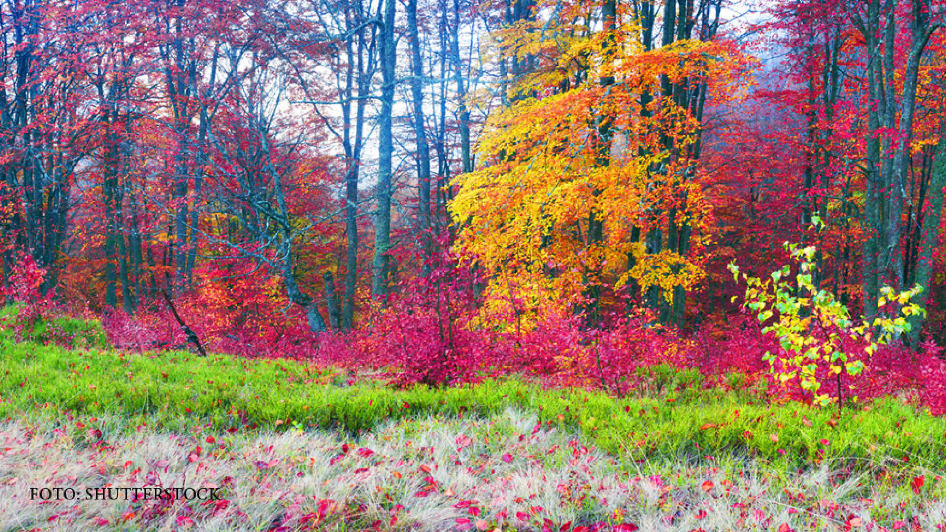 Toamna incepe cu cateva zile de vara. Temperaturile vor trece de 30 de grade in week-end